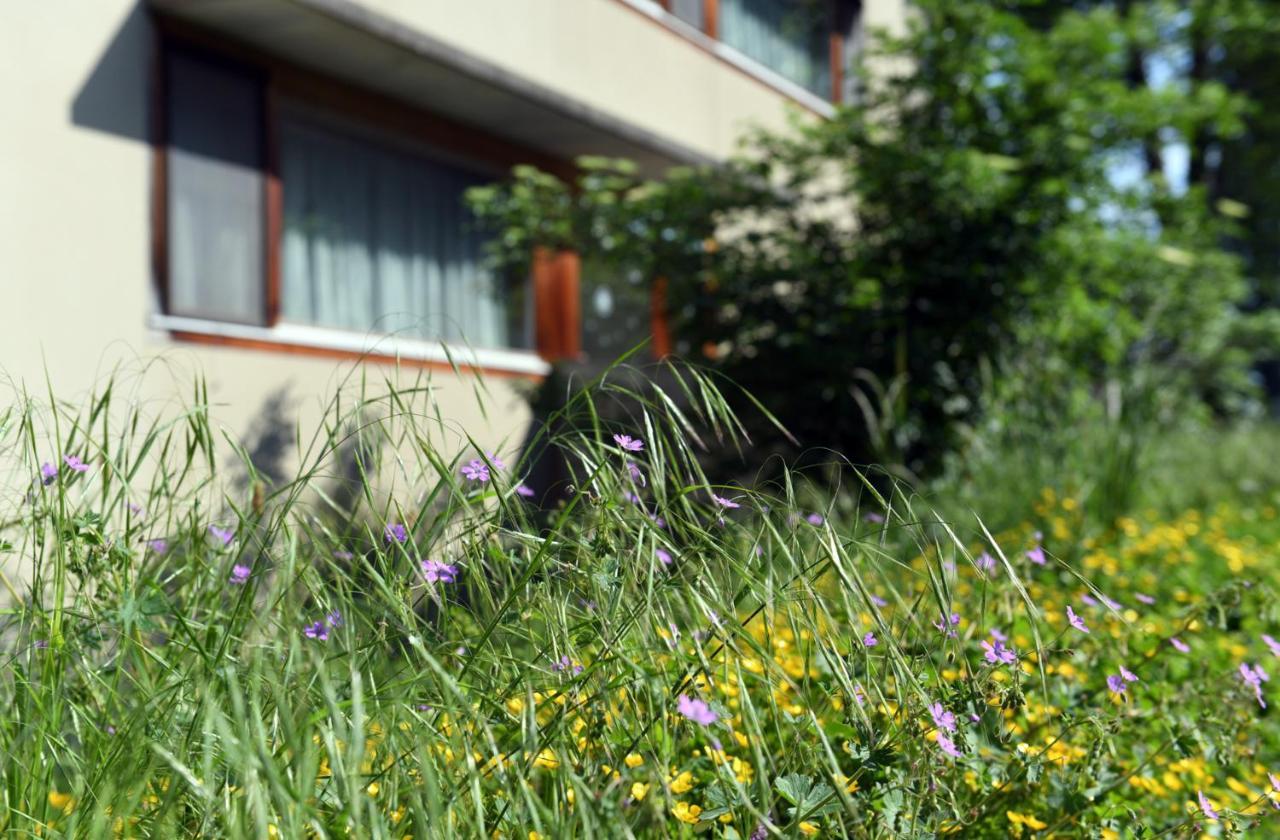 Hotel Domaine De La Sauge Cudrefin Zewnętrze zdjęcie